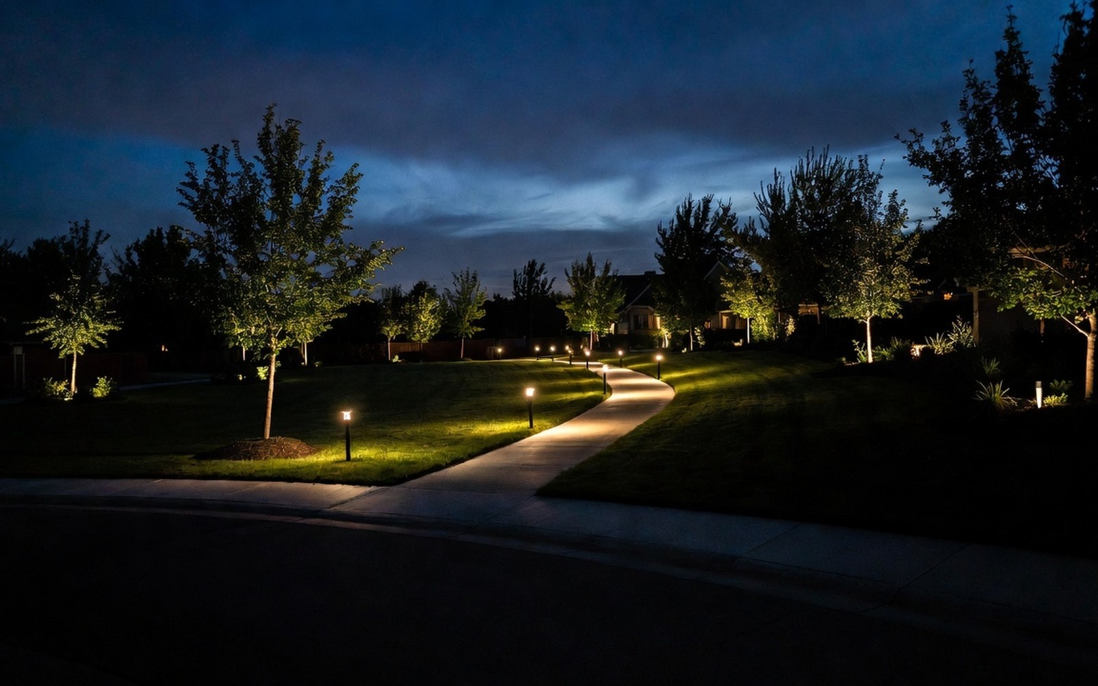 Path lights and uplit small trees along a front walk in early evening warm light