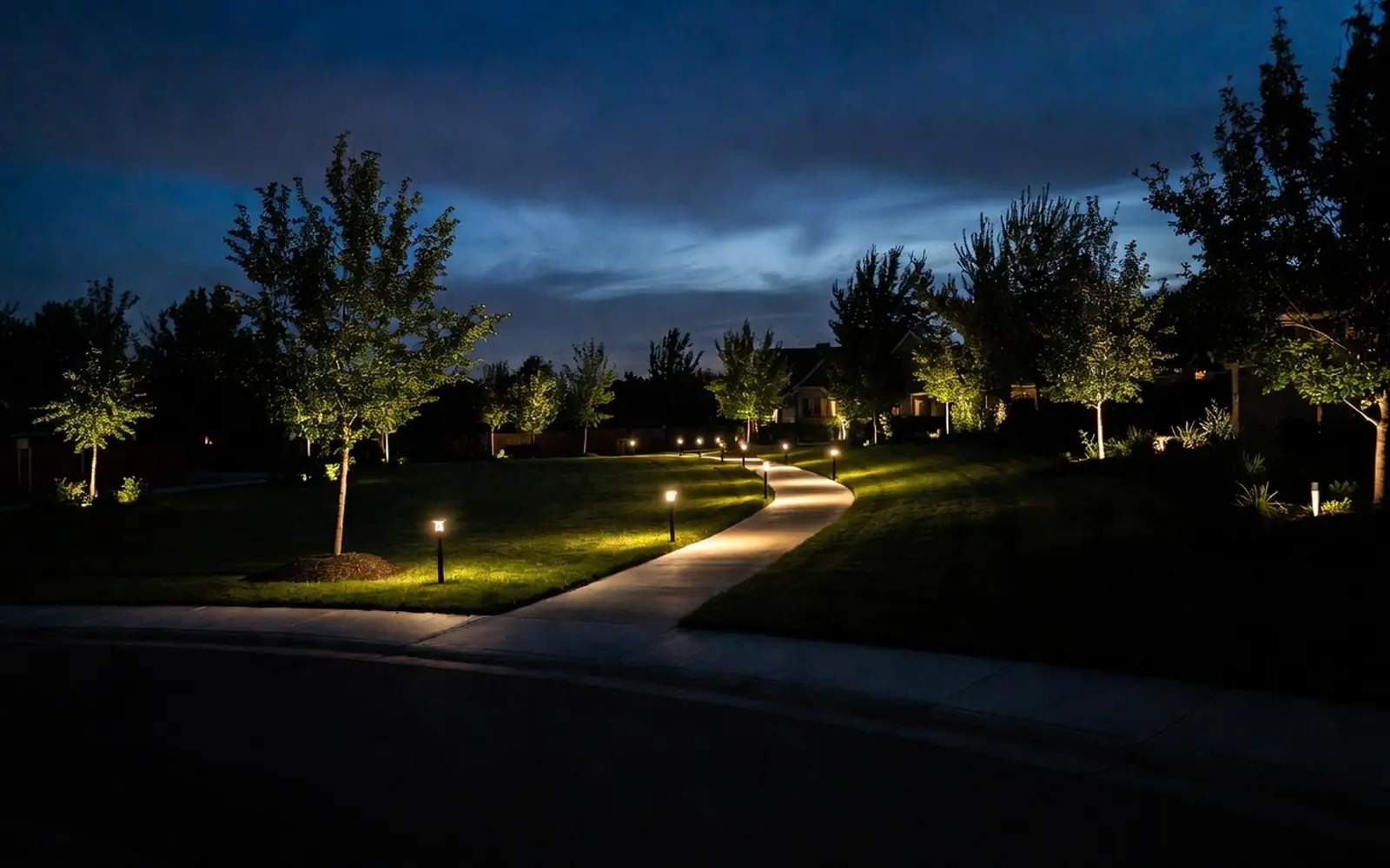 Path lights and uplit small trees along a front walk in early evening warm light